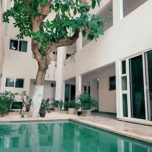https://cozy-studios-zazil-ha.allrivieramayahotels.com
